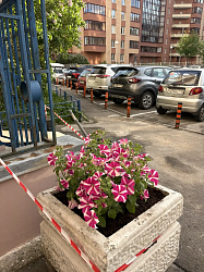 ��������� ���������� ���������� ��������� ���������

������ �� �������: http://grnland.ru/news/2210.html