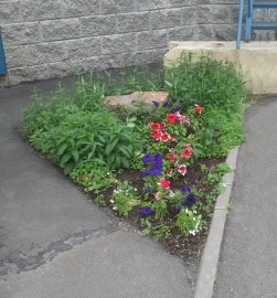 20130612_172708.jpg