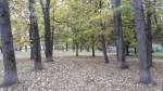ТСЖ «ГринЛандия» выступает с инициативой строительства парковой зоны ТСЖ «ГринЛандия» выступает с инициативой строительства парковой зоны