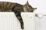 5 октября включаем центральное отопление! 5 октября включаем центральное отопление!