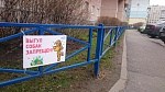 Радует, что в нашем комплексе большинство сознательных собаководов